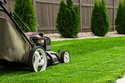 Gartenbau in Hecklingen