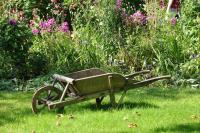 Gartenbauer in Helmstedt - Temmeyer OHG Garten- und Landschaftsbau